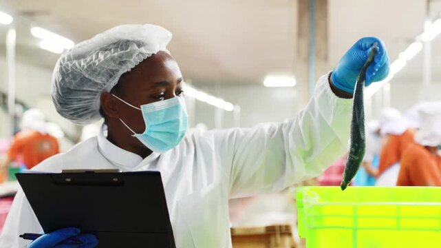 African American female supervisor oversees quality raw materials in storage tanks checking freshness mackerel verifying quantity raw materials controlling production storage and processes ensure they