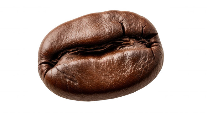 A single roasted coffee bean with a textured brown surface and a deep central crease, isolated against a solid black background