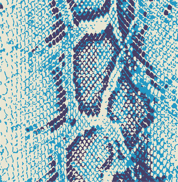 Snake skin pattern, design, funny drawing, seamless pattern. Lettering poster  t shirt textile graphic design wallpaper, wrapping paper.