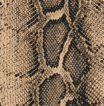 Snake skin pattern, design, funny drawing, seamless pattern. Lettering poster  t shirt textile graphic design wallpaper, wrapping paper.