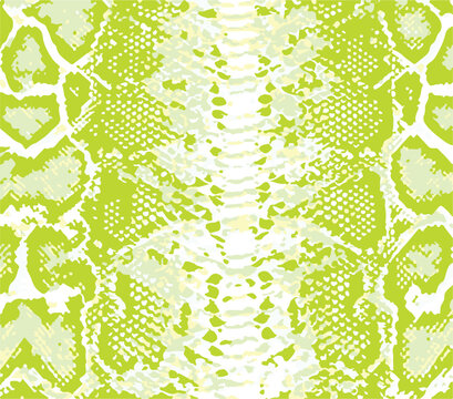 Snake skin pattern, design, funny drawing, seamless pattern. Lettering poster  t shirt textile graphic design wallpaper, wrapping paper.