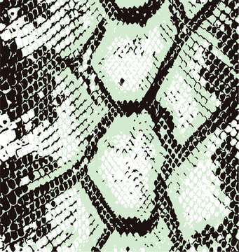 Snake skin pattern, design, funny drawing, seamless pattern. Lettering poster  t shirt textile graphic design wallpaper, wrapping paper.