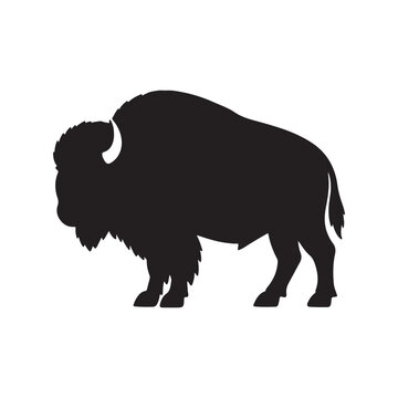 Black silhouette of a large american bison standing