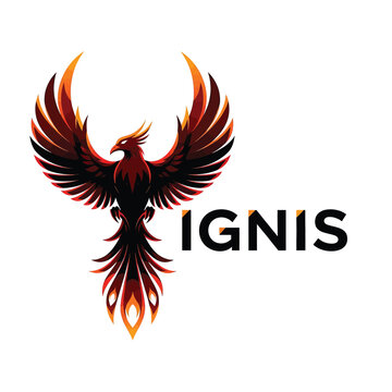 Phoenix Bird Logo Design Emblem.