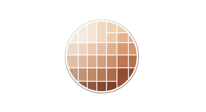Diverse Skin Tone Color Palette Grid in Circle for Cosmetic Matching on Isolated White Background