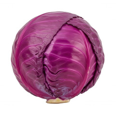 Obraz premium A single, whole head of fresh red cabbage with vibrant purple leaves and visible veins, isolated against a solid black background