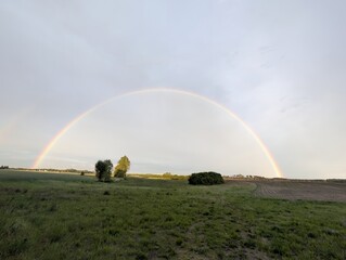Fototapeta premium A vibrant rainbow arches across a cloudy sky over a green field. Trees are visible on the horizon, with a gentle landscape under the atmospheric phenomenon