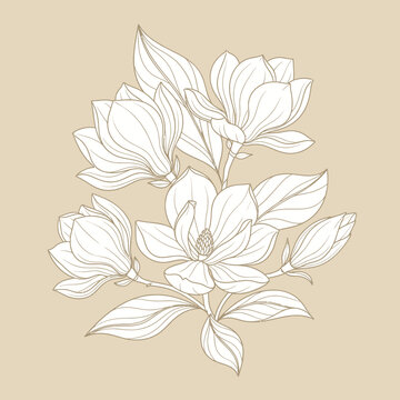 Elegant Magnolia Flower Botanical Line Art Illustration with Leaves on Beige Background