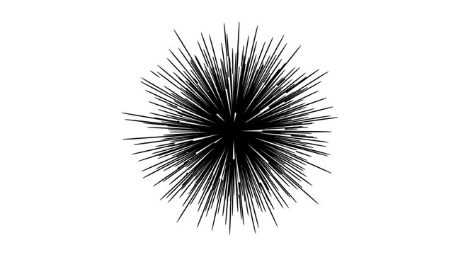 Black spiky spherical object closeup.
