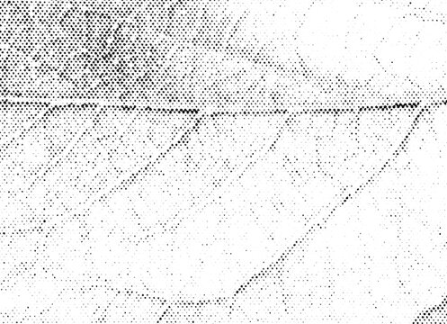 Macro halftone texture of a leaf with central and branching veins. Black dot pattern on a transparent background, ideal for organic, botanical, or vintage-style design projects.