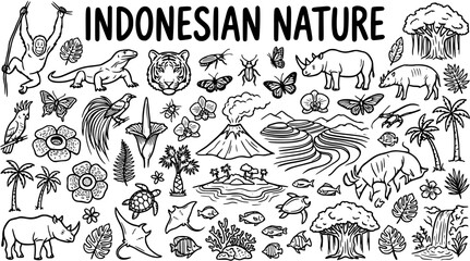 Hand-drawn black and white line art doodle of Indonesian nature, wildlife, flora, fauna, and landscapes for travel and environmental themes. © kulinadsgn