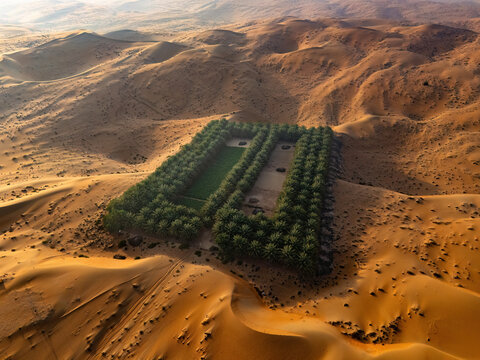 Aerial view of the Bateen Liwa palm grove oasis nestled among rolling orange sand dunes under warm sunlight in Al Dhafra Region, Abu Dhabi, United Arab Emirates.