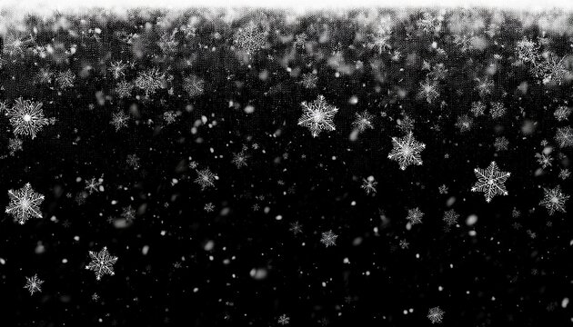 snowflakes falling down on black background heavy snow flakes isolated flying rain overlay effect for composition