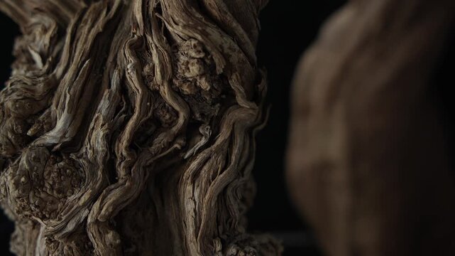 Twisted driftwood texture with sculptural organic wood grain details