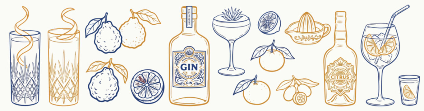 Hand drawn sketch style citrus and wine set. Vector elegant doodle line illustration of lemons, alcohol, limoncello cocktail glass and lemon slice for background, card, invitation or poster, packaging