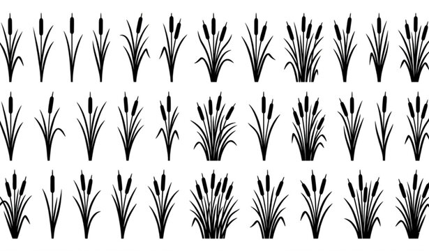 Cattail swamp grass silhouette vector set with wetland reed plant illustrations isolated on white