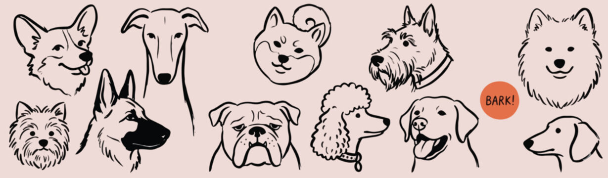 Scribble chalk or charcoal style dogs drawing. Hand drawn puppy sketches, wax crayon outline funny whimsical grunge charcoal art for tshirt print, placard, poster or isolated doodle stickers