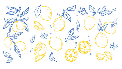 Fototapeta na wymiar Vintage sketch pattern with yellow lemons, summer vector set isolated on white background. Italian amalfi design elements, blue doodle citrus plant with leaves and fruits for mediterranean design