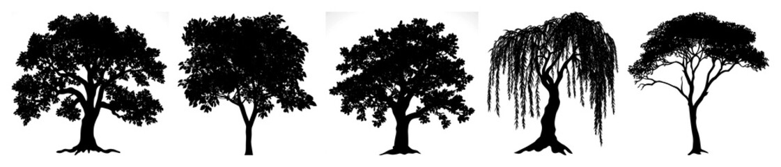 Fototapeta premium PNG Silhouette trees diverse shapes on transparent background