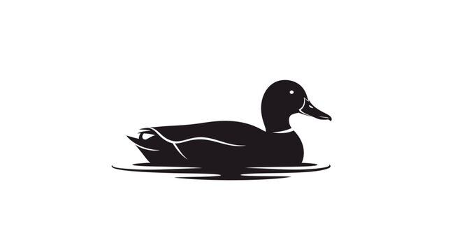 Black duck swimming in water alone.