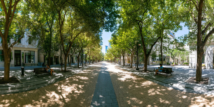 Tree-lined urban street with benches and pedestrians, representing green city planning, shade, walkability and summer heat protection