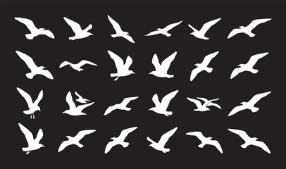 Fototapeta premium Collection of flying seagull white silhouettes isolated on a solid black background.