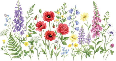 Watercolor Wildflowers Horizontal Border Vector Set with Red Poppies Rose Lavender and Foxglove for Romantic Wedding Invitations and Summer Floral Graphic Designs © Miss