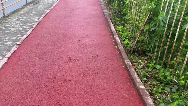 4K walking on the path near the University, b-roll