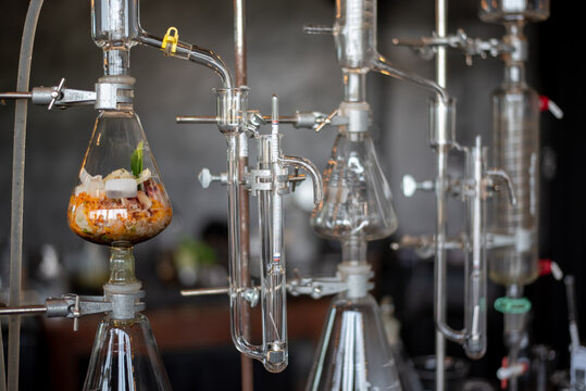 A variety of glass distillation apparatuses and flasks filled with botanical ingredients set up on hot plates in a laboratory. Essential oil extraction concept.