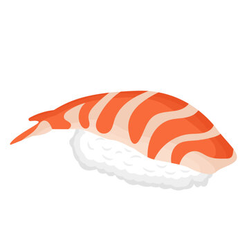 Ebi Nigiri Sushi Illustration Isolated on White Background