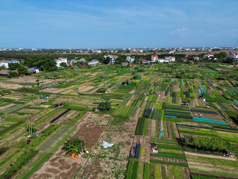A corner of Tra Que vegetable village, on the outskirts of Hoi An ancient town, Vietnam.