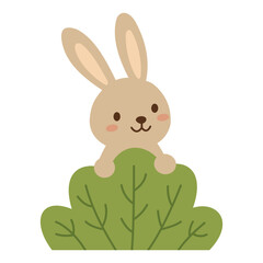 Obraz premium Shy little bunny rabbit peeking out curiously from behind a green bush.