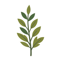Fototapeta premium Single vertical green plant branch stem with pinnate leaflet structures.