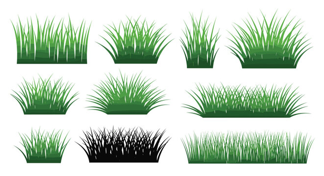 Collection of various green grass patches and clumps in different heights and densities for landscape and garden design.