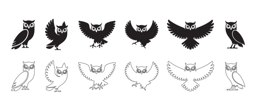 Set of stylized owl flying silhouettes in various poses graphic design. Collection of black and white owl silhouettes on a white background, vector illustration.