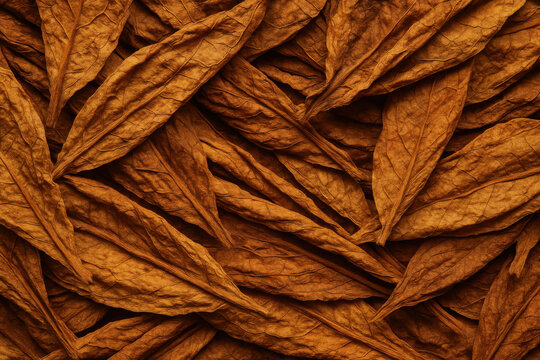 tobacco free futures tobacco free futures From Classrooms to Courtrooms: How Tobacco and School  Policies Push Black Youth Toward the School-to-Prison Pipeline