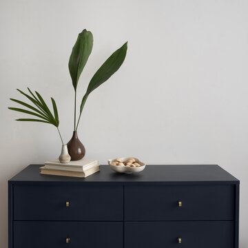 Modern Interior Decor with Navy Dresser, Green Plants, and Books, Home Staging, Minimalist Aesthetics