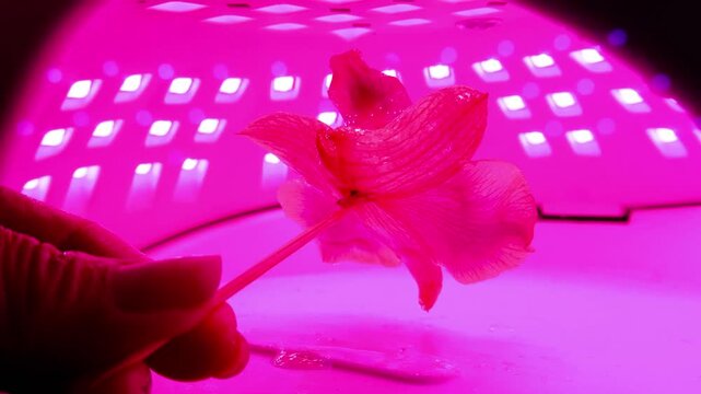 Hand curing each layer of Orchid under a UV light during accessory crafting process