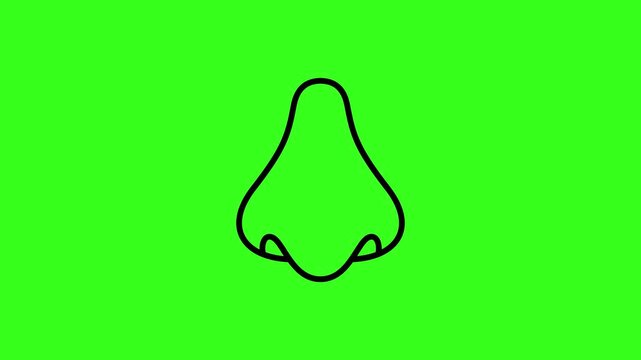 Animated human nose line icon on a green screen background