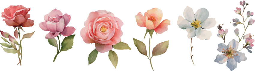 Obraz premium bouquet of flowers
