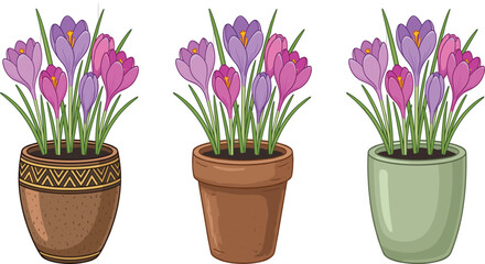 Purple and Pink Crocus Flowers in Decorative Pots — Spring Botanical Clipart Set © Manna