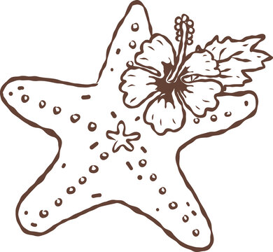 Coquette starfish with hibiscus flower hand drawn line art