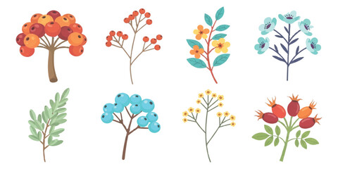 Naklejka premium Collection of cute flat colorful botanical elements branches with leaves flowers and berries vector illustration background.