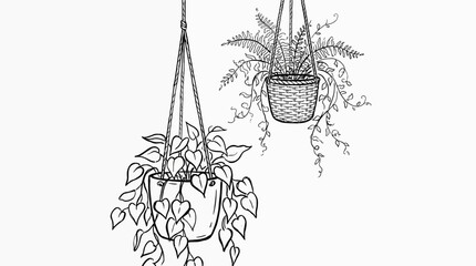 Line art illustration of hanging potted indoor plants on white background © Dhiyak