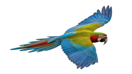 Colorful macaw parrot with blue wings and yellow body flying, isolated on transparent background © Miguel