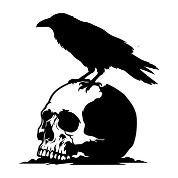 Silhouette of a raven perched on a human skull isolated on white background