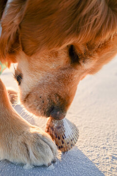 &ldquo;Golden light and a curious heart &mdash; that&rsquo;s all happiness really is.&rdquo;