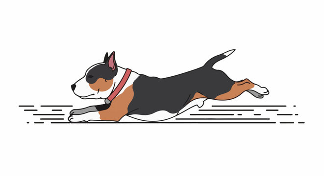Energetic bull terrier in mid-stride with a red collar, shown in profile
