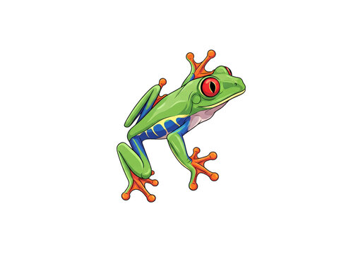 Title:
Colorful Red-Eyed Tree Frog Climbing Pose Cartoon Tropical Amphibian Flat Vector Illustration