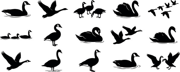 Obraz premium Black Duck Swan Goose Silhouette Set Minimal Vector Illustration For Water Bird Wildlife And Nature Design